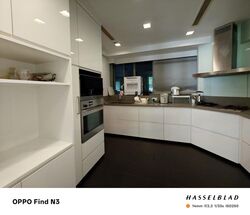 The Light @ Cairnhill (D9), Condominium #462257141